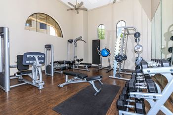 Gym equipment